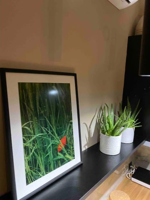 Dream Home Serres Romantic Living Esterno foto
